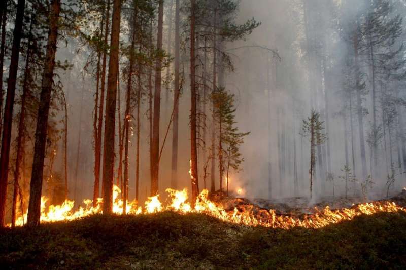 北歐瑞典今年夏天的高溫打破262年以來的紀錄，熱浪與乾旱引發多起森林野火（美聯社）