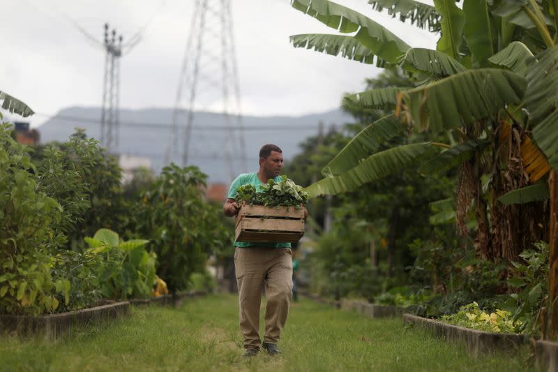 Urban farmer Ezequiel Dias works at the Horta de Manguinhos in the Manguinhos favela in Rio de Janeiro