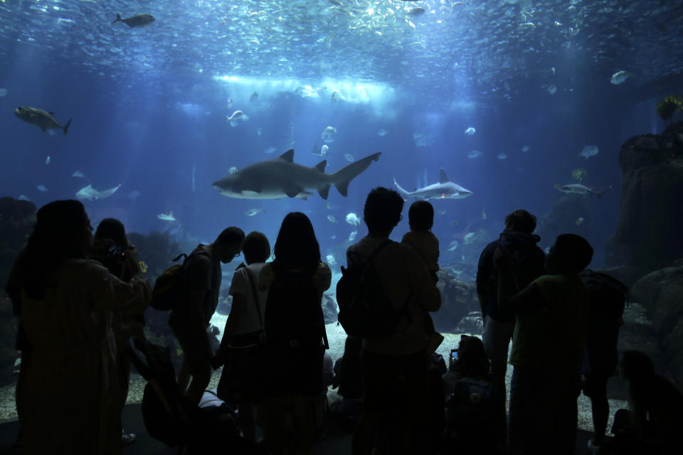 Visitors watch sharks and other fish swimming in the main tank at the Oceanarium in Lisbon, Monday, June 27, 2022. From June 27 to July 1, the United Nations is holding its Oceans Conference in Lisbon expecting to bring fresh momentum for efforts to find an international agreement on protecting the world's oceans. (AP Photo/Ana Brigida)