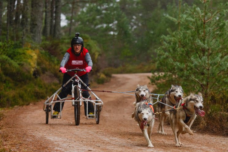 Thousands of dogs have gathered for an annual husky race in Aviemore