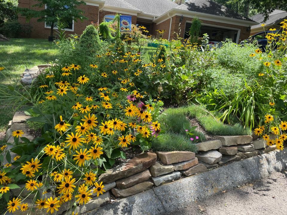 Victoria Hawkins of Bearden features her native plants in their own bed at the front of her yard. “I wish I could do my whole yard this way,” she says. With a Certified Tennessee Smart Yard, the property owner can do as much or as little as they want as long as they meet certain guidelines.