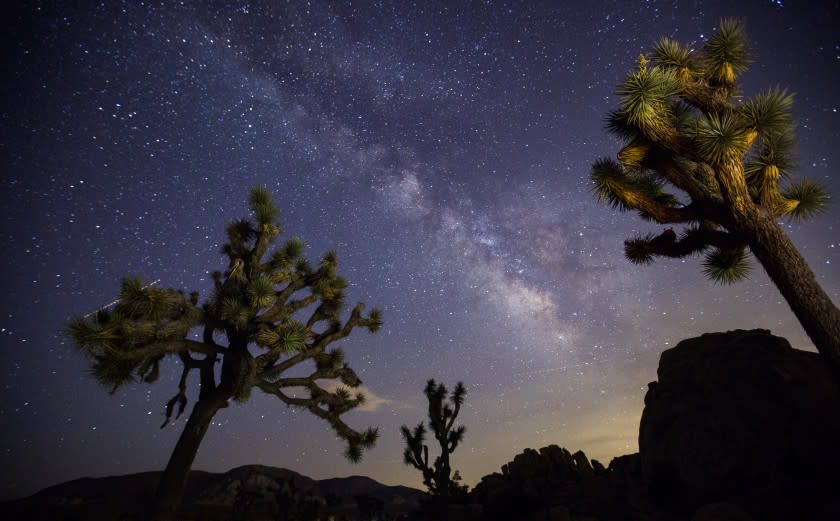 JOSHUA TREE, CALIF. -- WEDNESDAY, JULY 26, 2017: A view of the Milky Way arching over Joshua Trees and rocks at a park campground popular among stargazers in Joshua Tree National Park Wednesday, July 26, 2017. Joshua Tree National Park won the coveted International Dark Skies Park designation for the park. The certification from the nonprofit International Dark Sky Association, based in Tucson, Ariz., was announced Wednesday, July 26, 2017. Joshua Tree, which harbors some of the darkest night skies in the United States, is the 10th International Dark Sky Park in the U.S. National Park system. (Allen J. Schaben / Los Angeles Times)