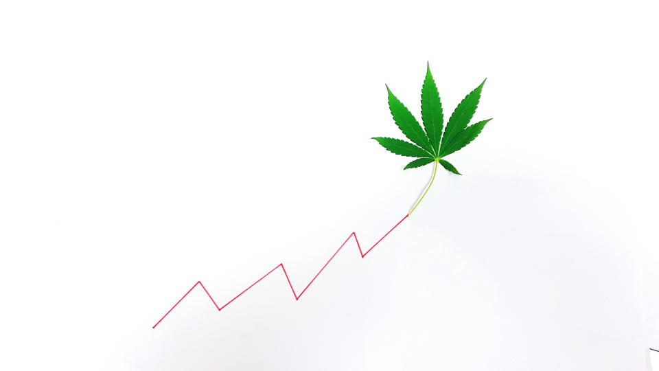 Marijuana leaf at the end of a line trending upward