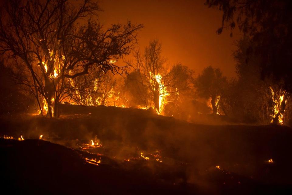 Trees burn in a forest on the slopes of the Troodos mountain chain in Cyprus.