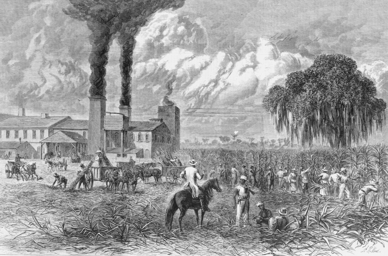 <span class="caption">Harvesting on a Louisiana sugar plantation, 1875.</span> <span class="attribution"><a class="link " href="https://www.loc.gov/pictures/item/93505862/" rel="nofollow noopener" target="_blank" data-ylk="slk:Alfred R. Waud/Library of Congress;elm:context_link;itc:0;sec:content-canvas">Alfred R. Waud/Library of Congress</a></span>