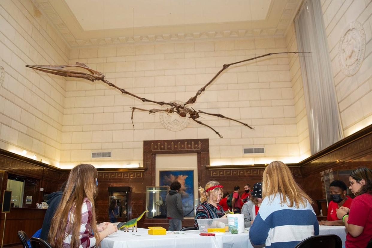 The Texas Pterosaur looms overhead as the Judson High School astronomy club visits the Texas Memorial Museum on Friday. The Pterosaur has a wingspan of 36 feet, making it one of the largest flying creatures ever discovered. The natural history museum in Austin faces an uncertain future because of state budget cuts.