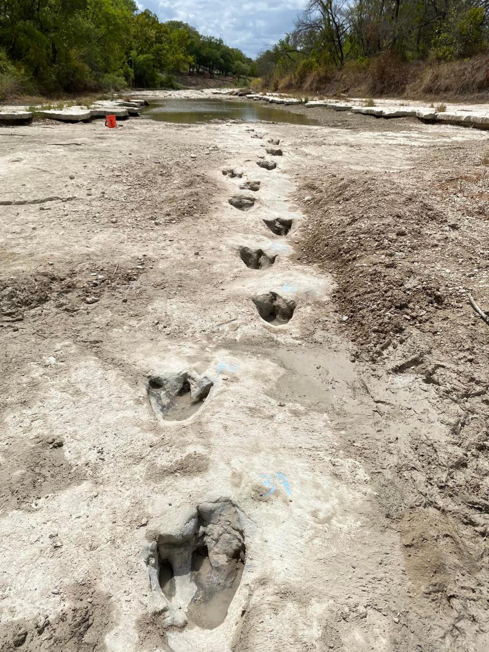 The tracks are said to belong to two different species of dinosaur. (Courtesy Dinosaur Valley State Park)