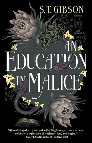 <p>Amazon</p> An Education in Malice by S. T. Gibson