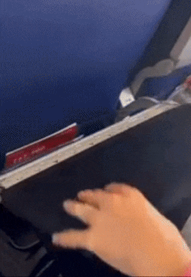 An Airplane Pocket tray cover