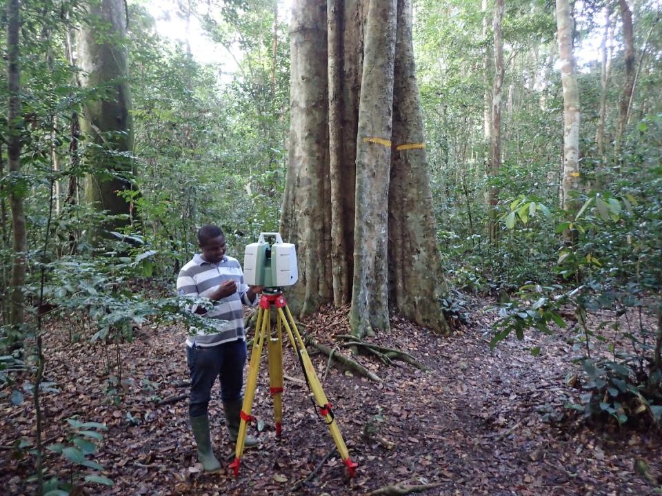 Stéphane Momo scannant une forêt au Laser au Gabon. Nicolas Barbier, Fourni par l'auteur