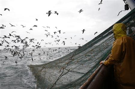 Fishermen on the Boulogne sur Mer based trawler "Nicolas Jeremy" raise the fishing nets, off the coast of northern France October 21, 2013. REUTERS/Pascal Rossignol