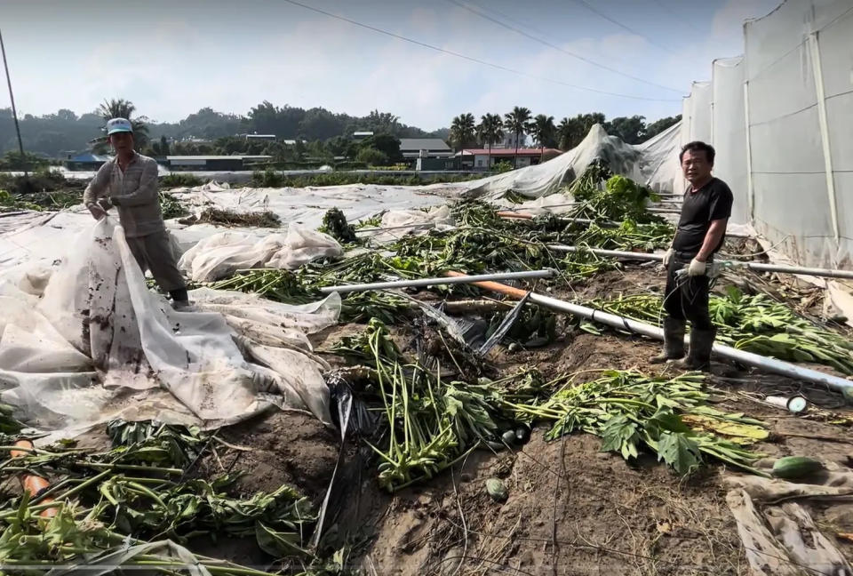 <strong>嘉義縣中埔鄉赤蘭溪附近木瓜田遭大雨沖毀。（圖／中天新聞）</strong>