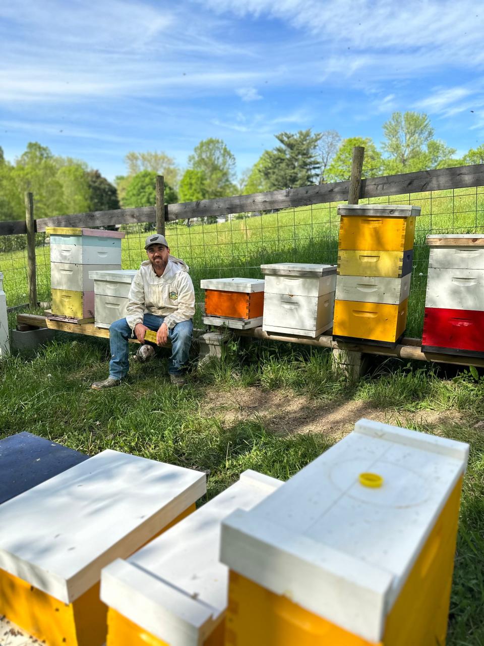 Chad Edwards among several bee hives Brown Bear Honey uses.