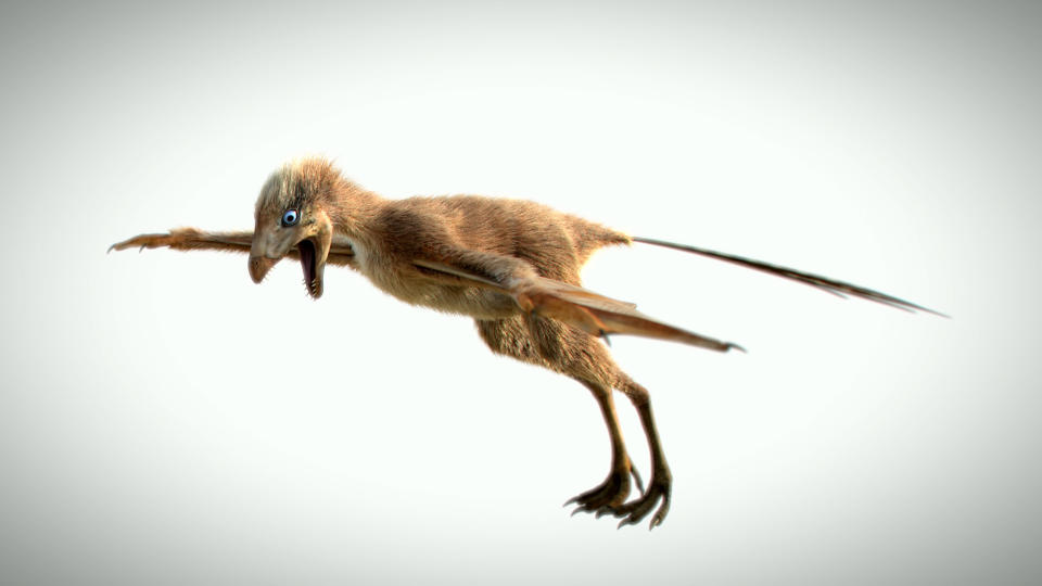 A 3D reproduction of the Ambopteryx longibrachium, from China, showing the creatures unique anatomy.(SWNS)