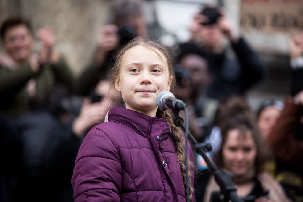 <p>Greta Thunberg took a cheeky shot at Donald Trump in his final hours as president</p> (Getty Images)