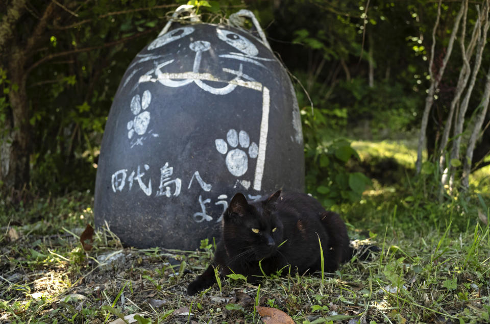 A cat crouches by a cat-themed sign that reads, "Welcome to Tashirojima island," near Odomari Port in Ishinomaki, northeast of Japan, Saturday, May 18, 2024. (AP Photo/Hiro Komae)
