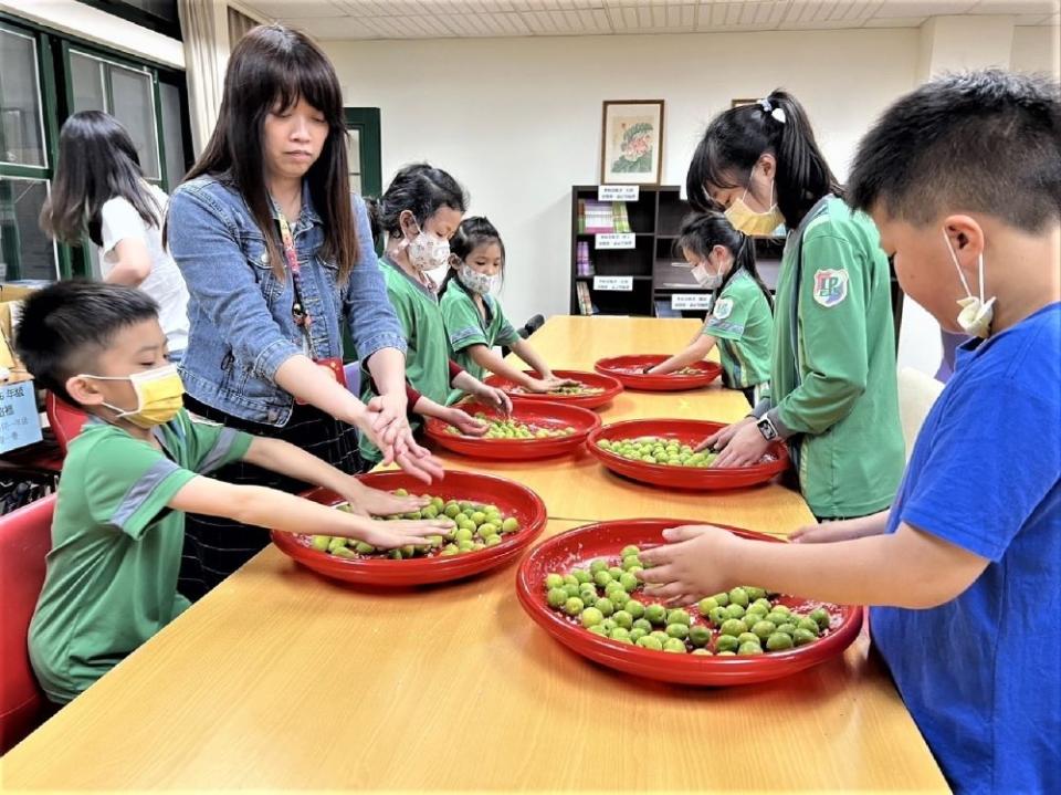 《圖說》龍埔國小開設高關懷課程，讓學生從採收到醃漬脆梅全程DIY 。〈教育局提供〉