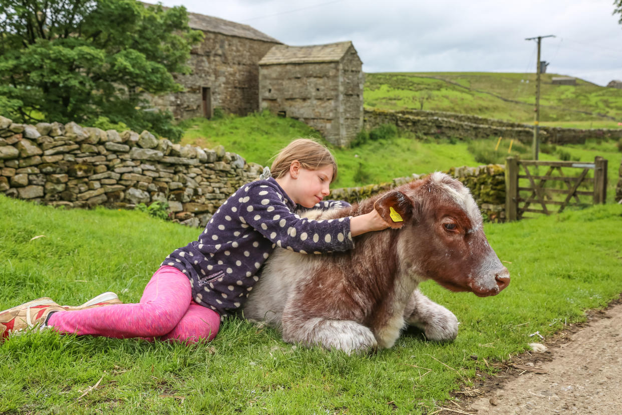 Violet with her pet cow Ciara. (Channel 5)