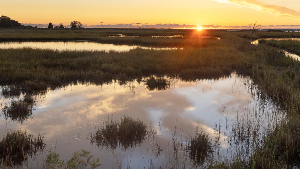 Days will shorten as fall arrives in New Jersey. This is Cattus Island County Park in Toms River.