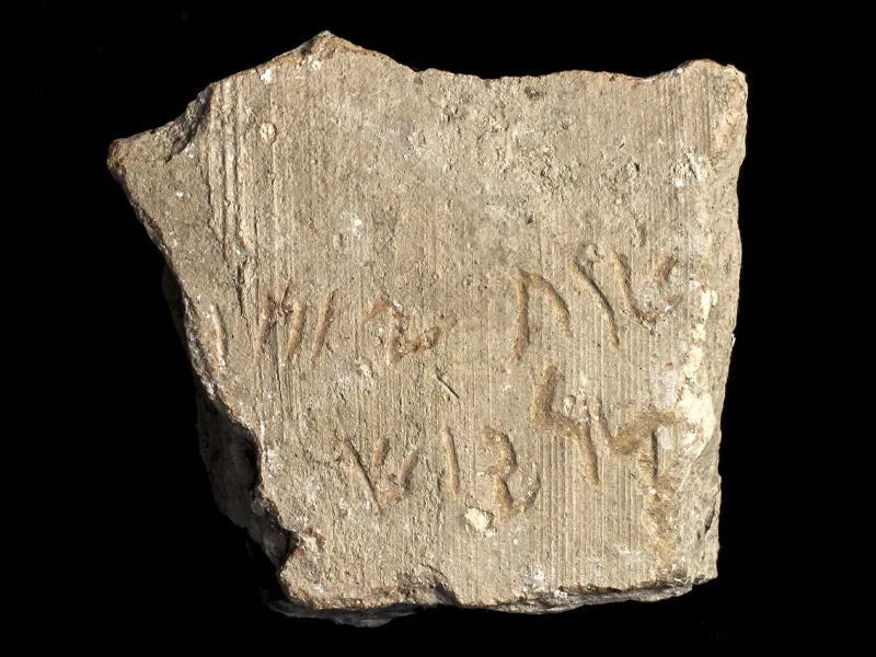 The Darius inscription