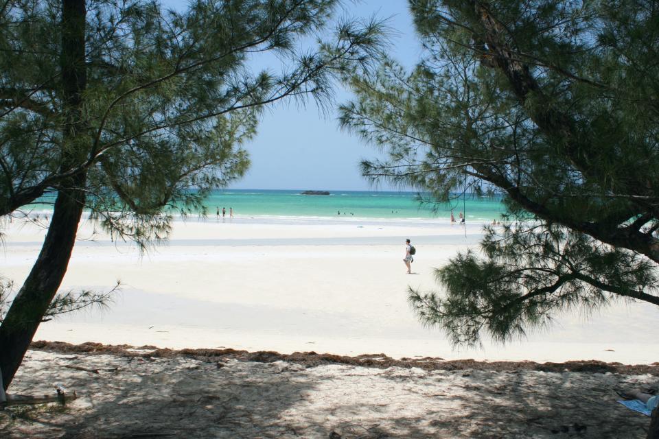 Lucayan National Park on Grand Bahama Island. Two Kentucky women said they were raped on February 4, 2024 after their drinks were spiked while on the island during a cruise. Police in the county said they arrested two men in connection to the assault and the case remains under investiation.