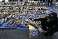 Customs officer and media members gather around confiscated elephant tusks during a news conference at the Port Authority of Thailand in Bangkok April 20, 2015. Thai customs officials have seized four tonnes of ivory worth $6 million, authorities said on Monday, in what the department called the largest bust of its kind in Thailand's history. The elephant tusks were hidden in bags containing dried beans in containers originating from the Democratic Republic of Congo, the Thai Customs Department said in a statement, and were bound for Laos. (REUTERS/Chaiwat Subprasom)