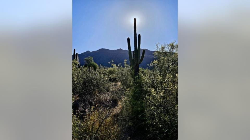 <div>Now that's Arizona! This photo was captured at Usery Mountain Regional Park in Mesa. Thanks to James Peel for submitting this photo.</div>