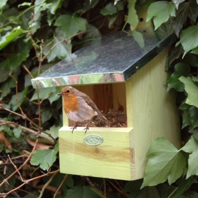 Nichoir rouge gorge - Jardin et Saisons