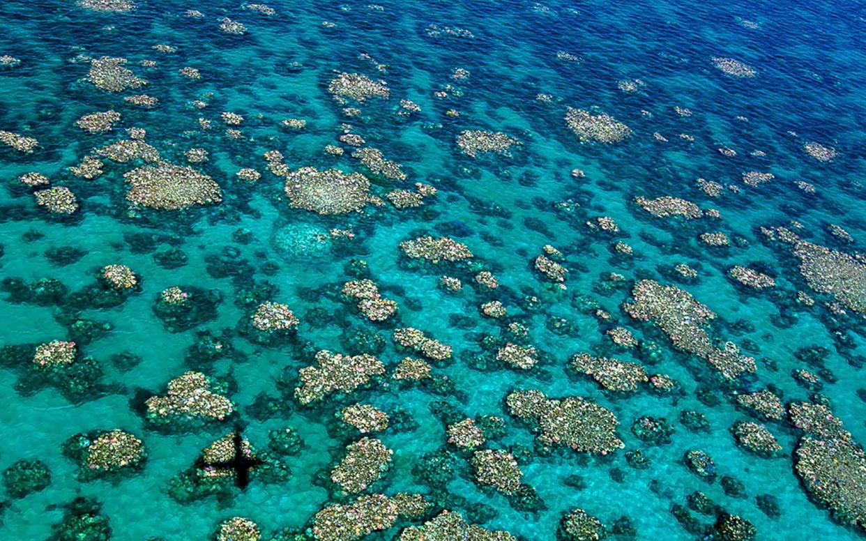 An aerial view of bleaching of the Great Barrier Reef - AFP