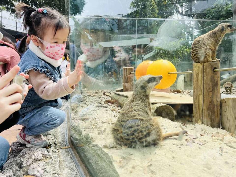 高雄市觀光局轄管的壽山動物園、旗津貝殼館、崗山之眼適合各年齡層朋友玩樂，連假期間更推出十二歲以下兒童免費入園，觀光局歡迎全家大小一起來玩，度過美好假期。（記者吳文欽攝）