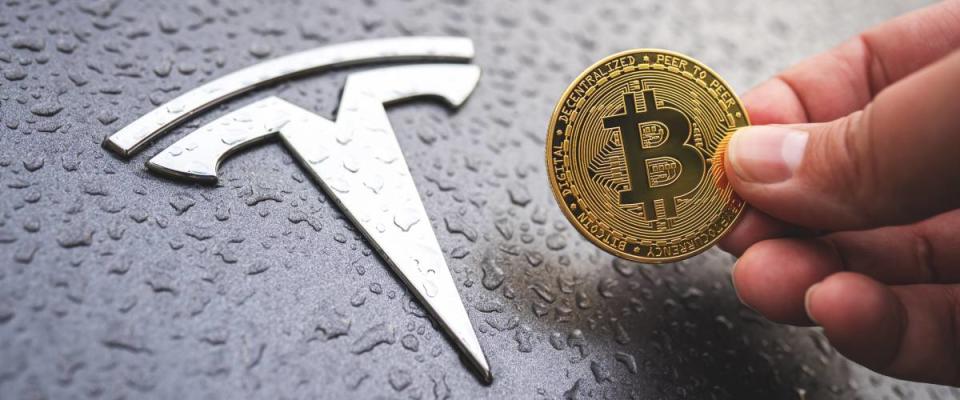 A person holding a bitcoin next to the letter T logo on a Tesla car