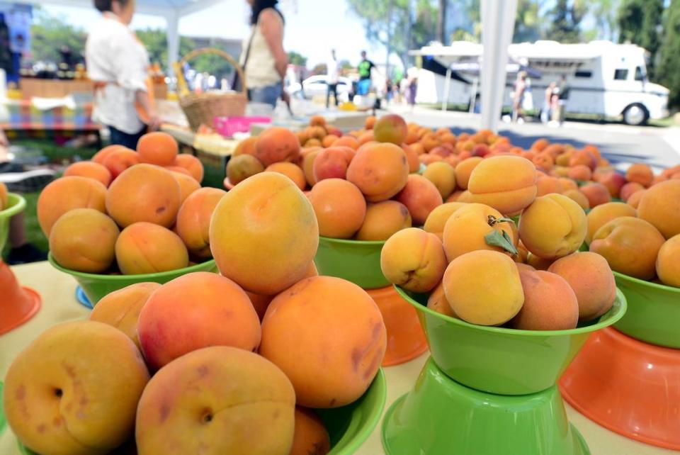 Dozens of apricots were on display during the 2017 Patterson Apricot Fiesta.