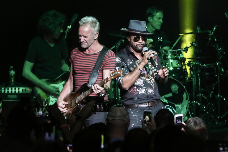 Sting and Shaggy review: A light-hearted experiment with some toe-curling moments