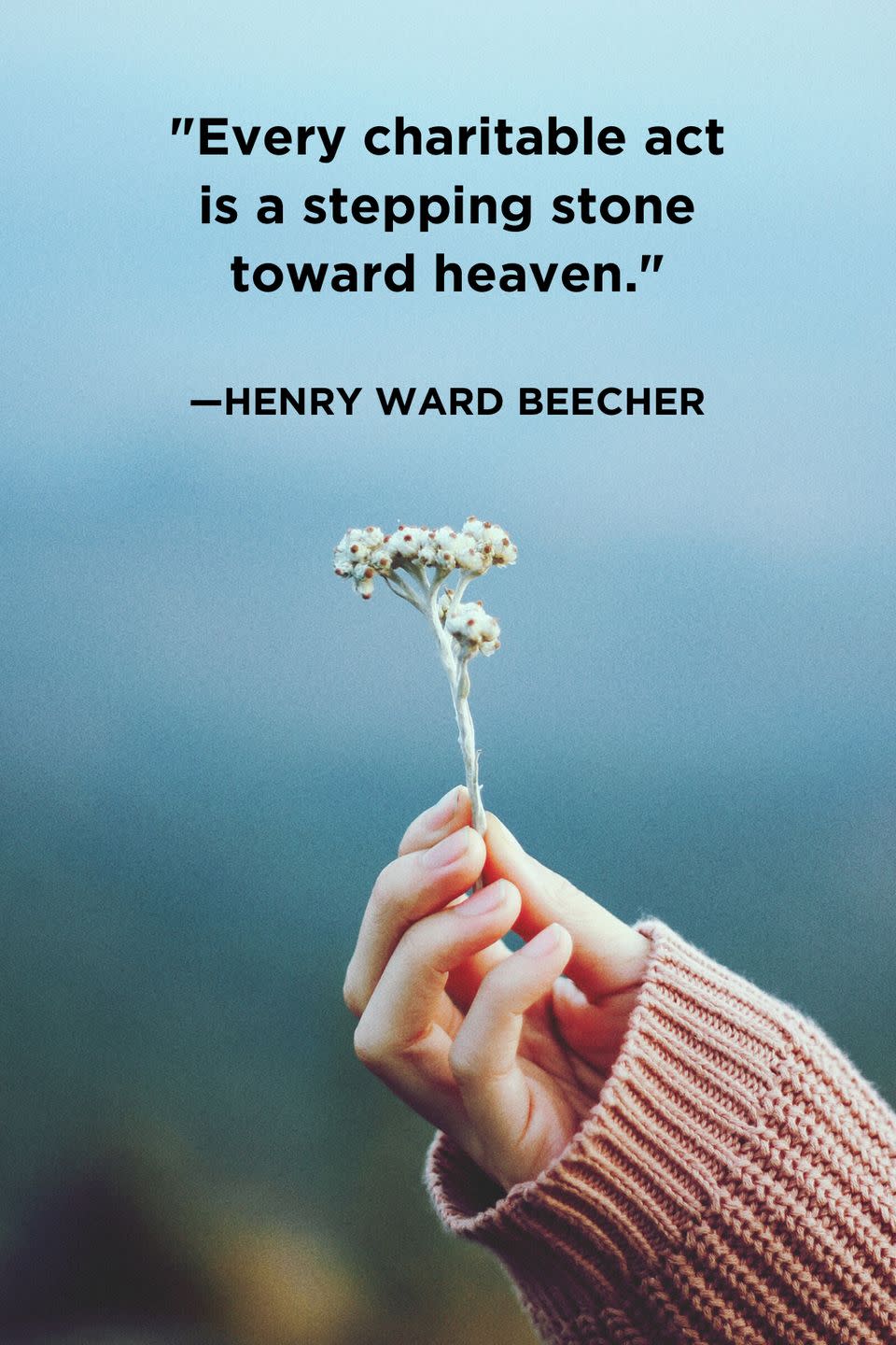 17) Henry Ward Beecher