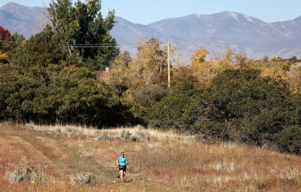 Sherry Keller runs with her dog Axis above Dimple Dell in Sandy on Monday, Oct. 16, 2023. | Kristin Murphy, Deseret News