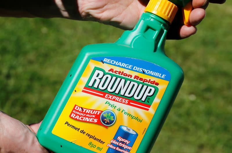 FILE PHOTO: A man holds a Monsanto's Roundup weedkiller spray containing glyphosate in a garden in Bordeaux