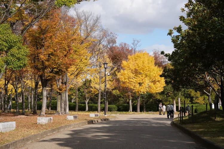 大仙公園很適合來此悠閒散步。黃盈甄攝