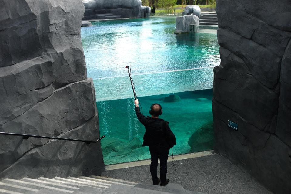 A sound man records next to the penguins' pool, at the Vincennes Zoo, in Paris, Tuesday, April 8, 2014. Its gray, man-made mountain that might lure King Kong still protrudes over treetops, but nearly everything else has changed as Paris' best-known zoo prepares to re-open after a multi-year makeover. (AP Paris/ Thibault Camus)