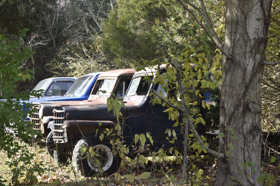 These twin 4-wheel-drive vehicles spotted recently in Owen County are Andy Minnick's 1951 and '52 Willys pickups.