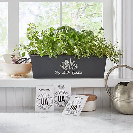 Indoor Herb Growing Kit