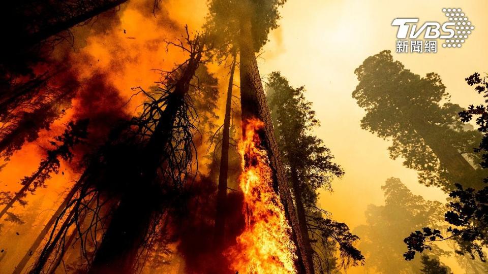 受到極端氣候影響，歐洲不斷發生森林大火。（圖／達志影像美聯社）