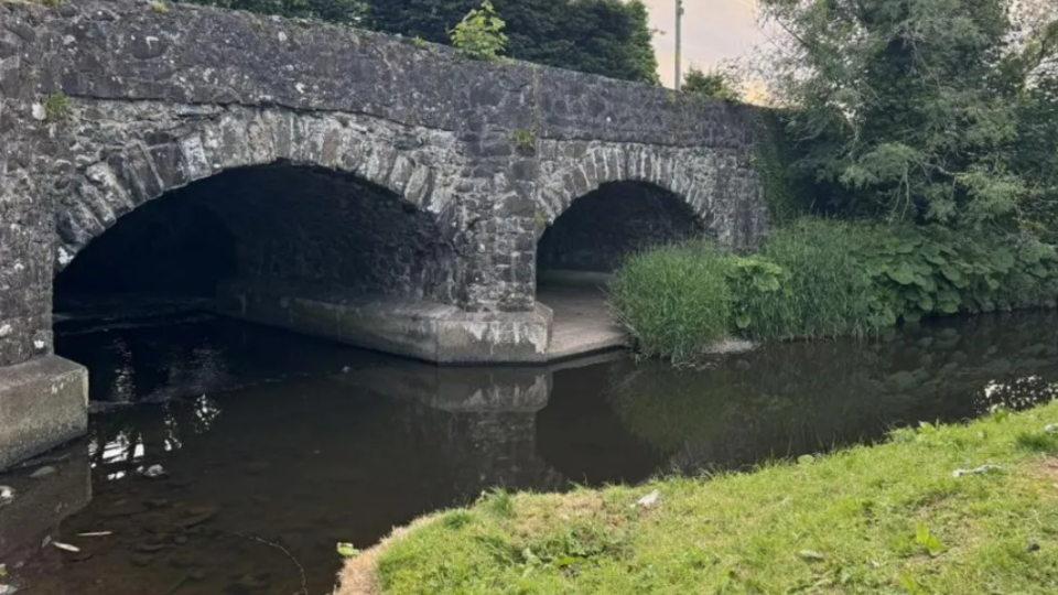 An image of a bridge at the Glenavy River