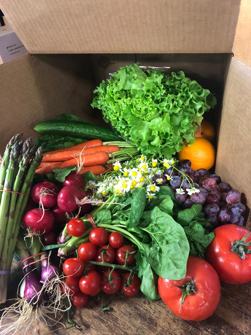 A CSA box from Stokes Farm in Old Tappan, NJ always includes a little surprise, in this case, some flowers. The family-run farm dates to 1873.