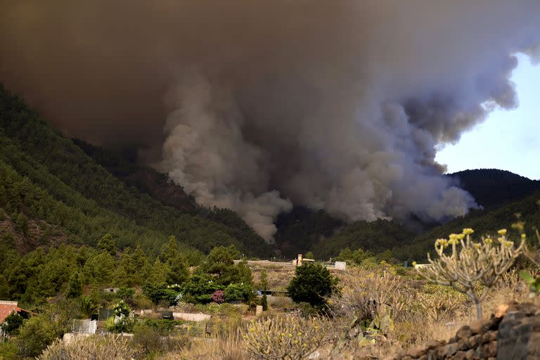 Las llamas avanzan por el bosque cerca de la localidad de El Rosario, mientras el incendio forestal continúa ardiendo en Tenerife, Islas Canarias