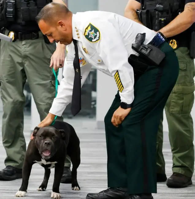 Police Chief Carmine Marceno petting Louie