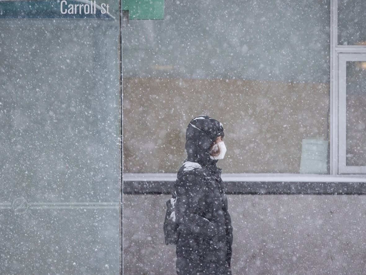 An Environment Canada snowfall warning says Toronto could see 15 to 20 centimetres starting Wednesday afternoon into Thursday morning.  (Evan Mitsui/CBC - image credit)