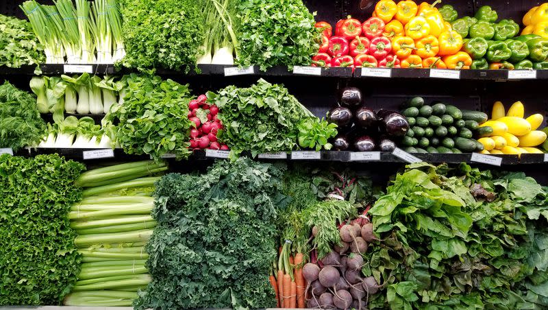 Salad greens and vegetables in Cambridge, Mass.