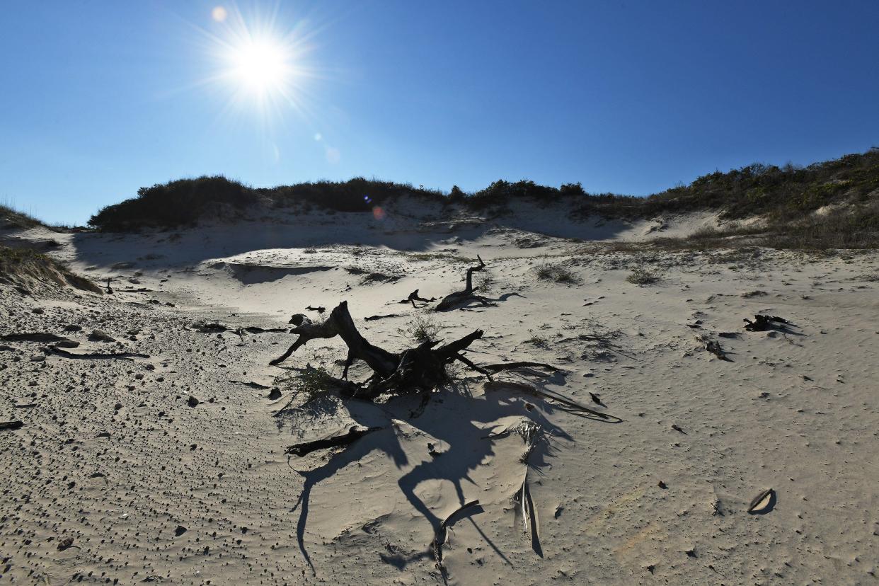 A section of the "little Nana" dune complex at American Beach in 2020. As part of its land conservation mission, the North Florida Land Trust has preserved three undeveloped lots at the Amelia Island site.