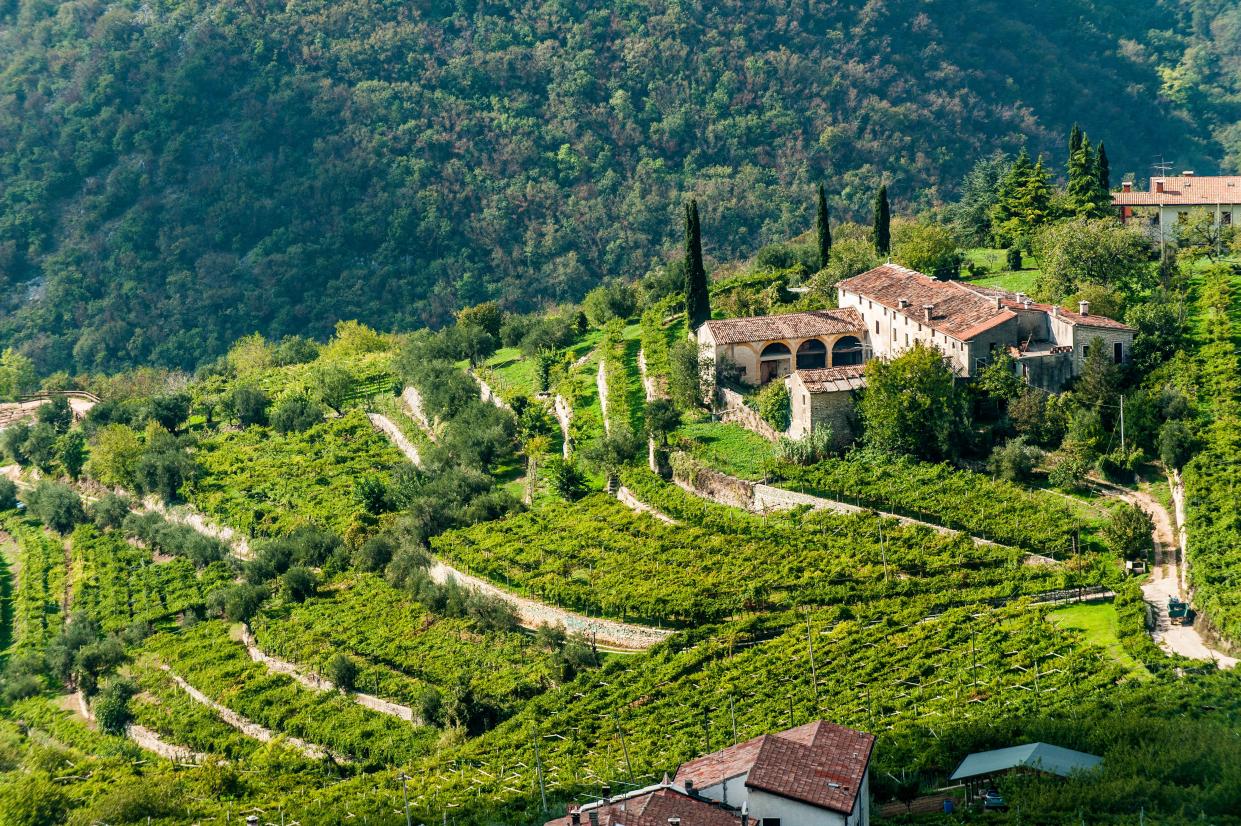 Verona's hilltop villages and historic villas are as seductive as anything Tuscany has to offer - Credit: LOOK Die Bildagentur der Fotografen GmbH / Alamy Stock Photo