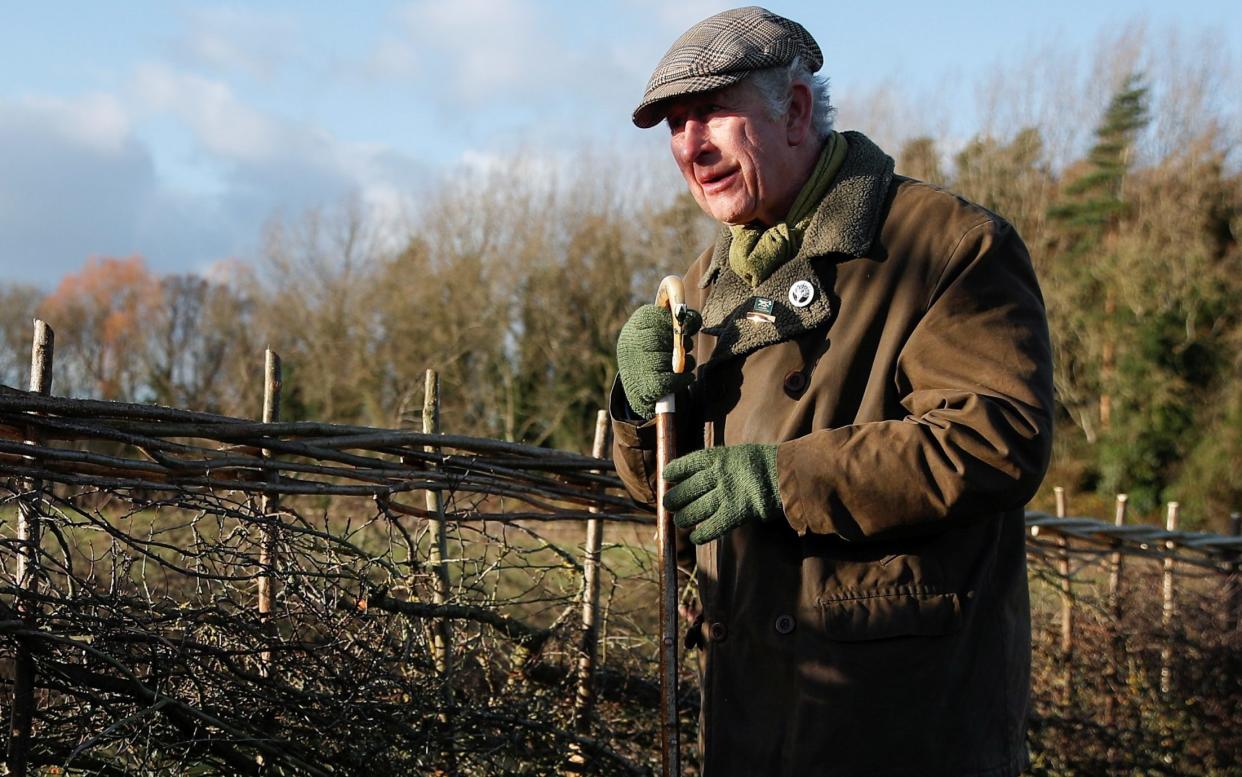 King Charles has a habit of going foraging for mushrooms to 'clear his head' in the fresh air